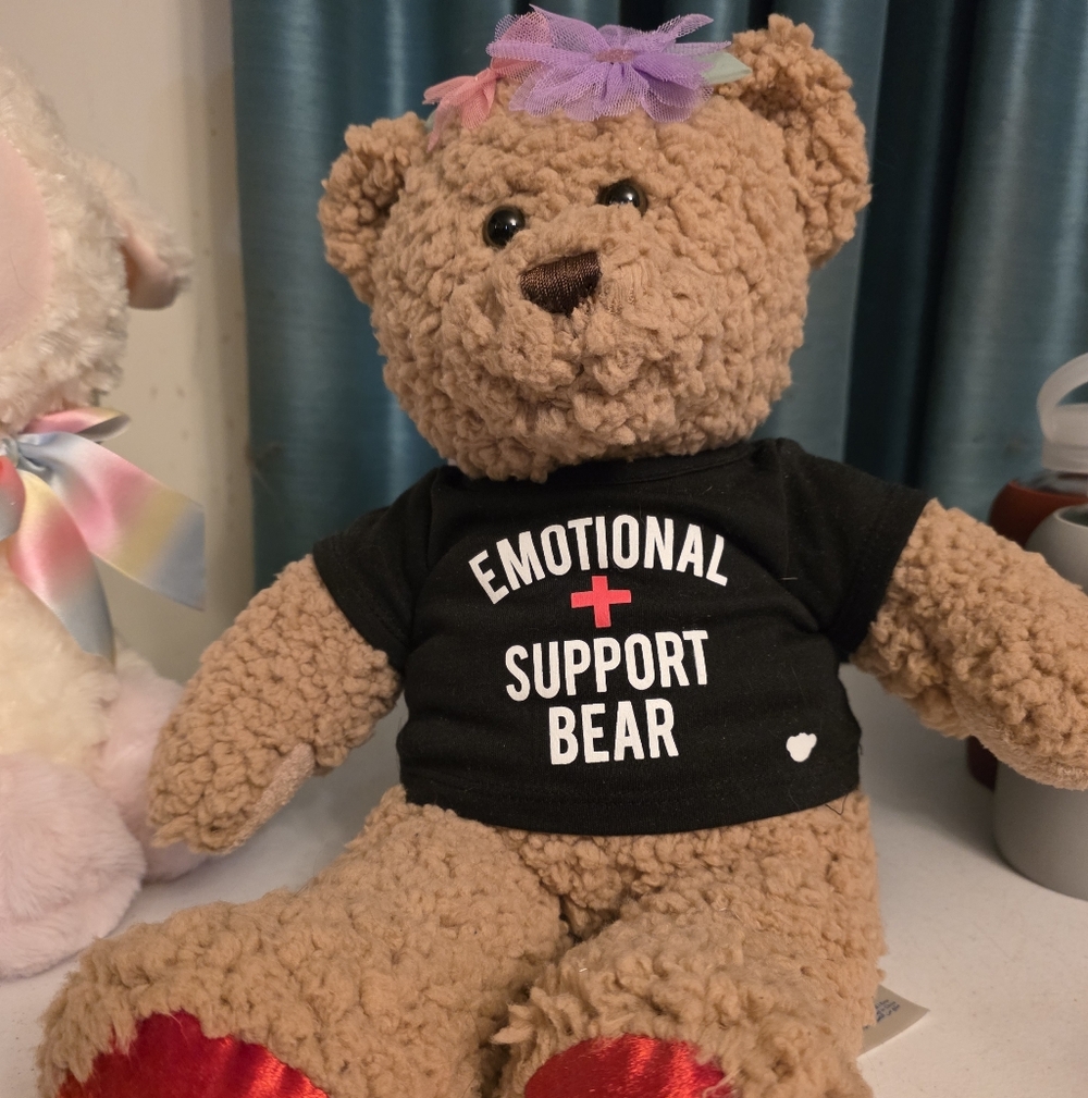 Build-A-Bear Emotional Support Bear
